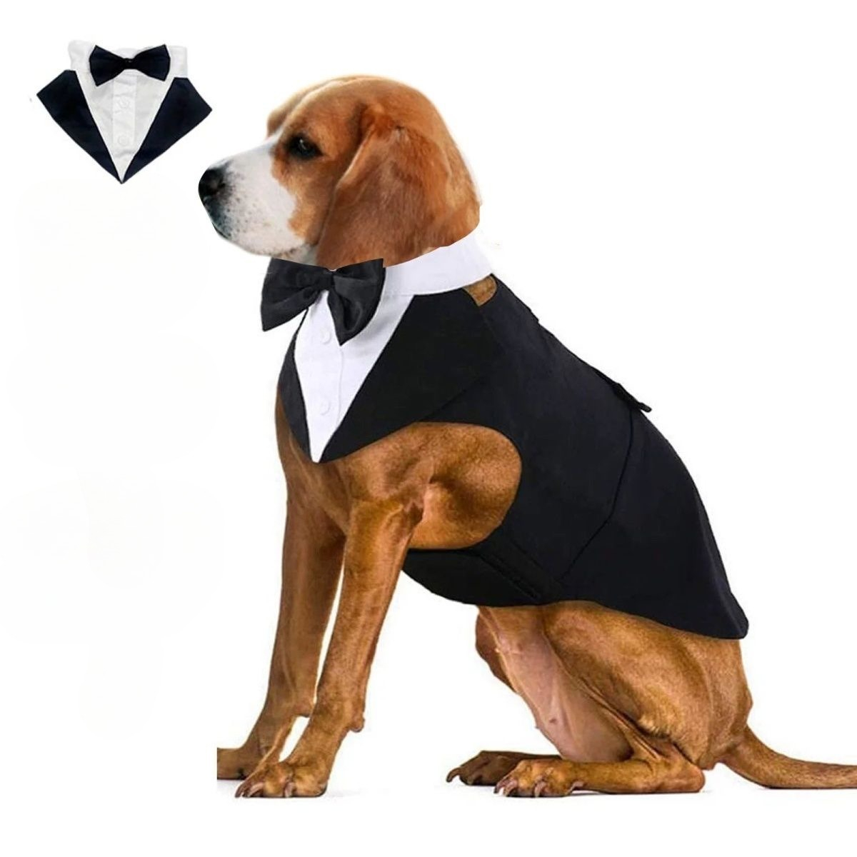 ملابس للكلاب الأليفة، بدلة رسم - مراجعة Suitsupply Wedding Tuxedo وسعره